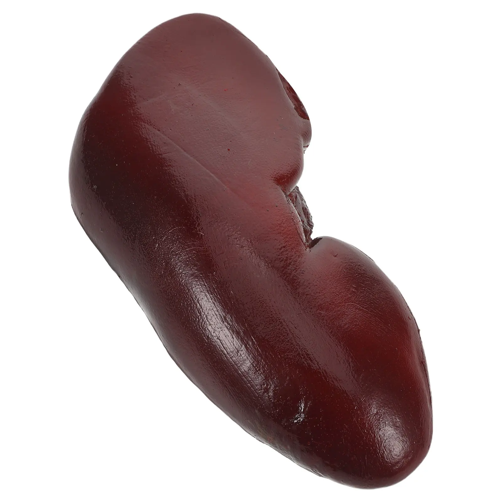 

Realistic Pig Kidney Food Simulation Halloween Prank Prop Cosplay Accessory Haunted House Party Decoration Scary Organ