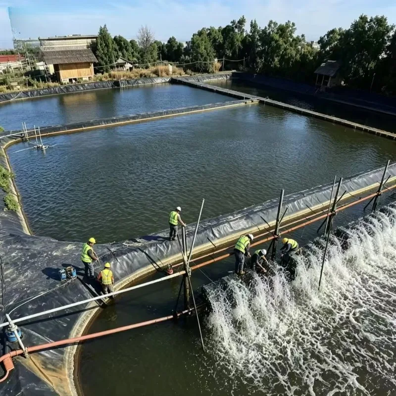 Customized HDPE Geomembrane Pond Liner for Fish Farm Reservoir Landfill Mining and Anti Seepage Projects Worldwide