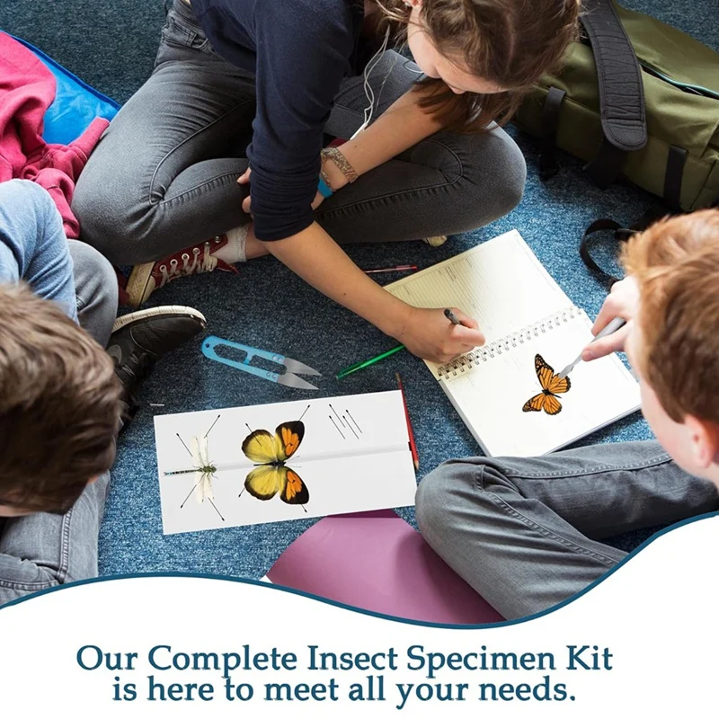 Insect Specimen Pinning Kit, Making Butterfly Specimen Tools For Science Education, Specimen Collection And Enthusiasts