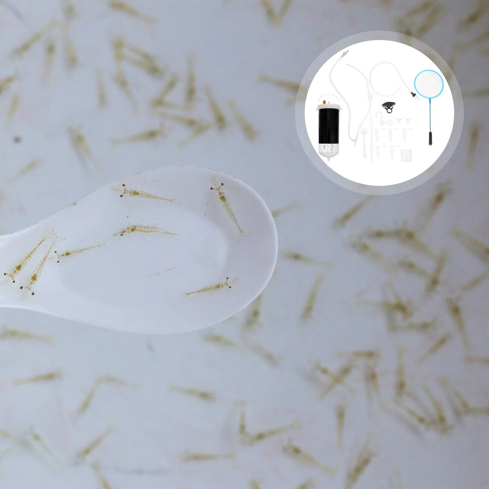 

1Set Brine Shrimp Hatchery Box High Quality Plastic Shrimp Egg Incubator Aquarium Breeding Tool Easy Install Clean