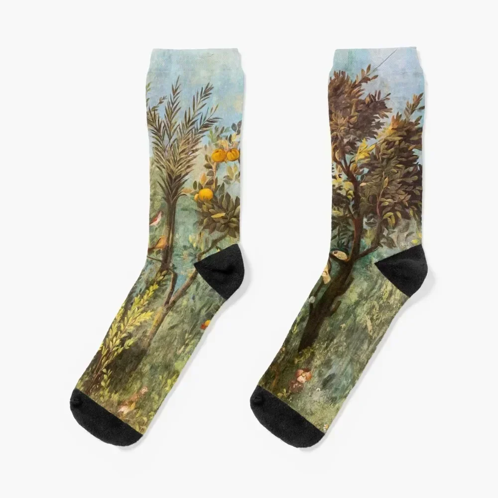 ANTIQUE ROMAN WALL PAINTING Flower Garden Flying Birds ,Quince and Apple Trees Socks kawaii cartoon cute Women Socks Men's