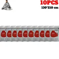 10PCS