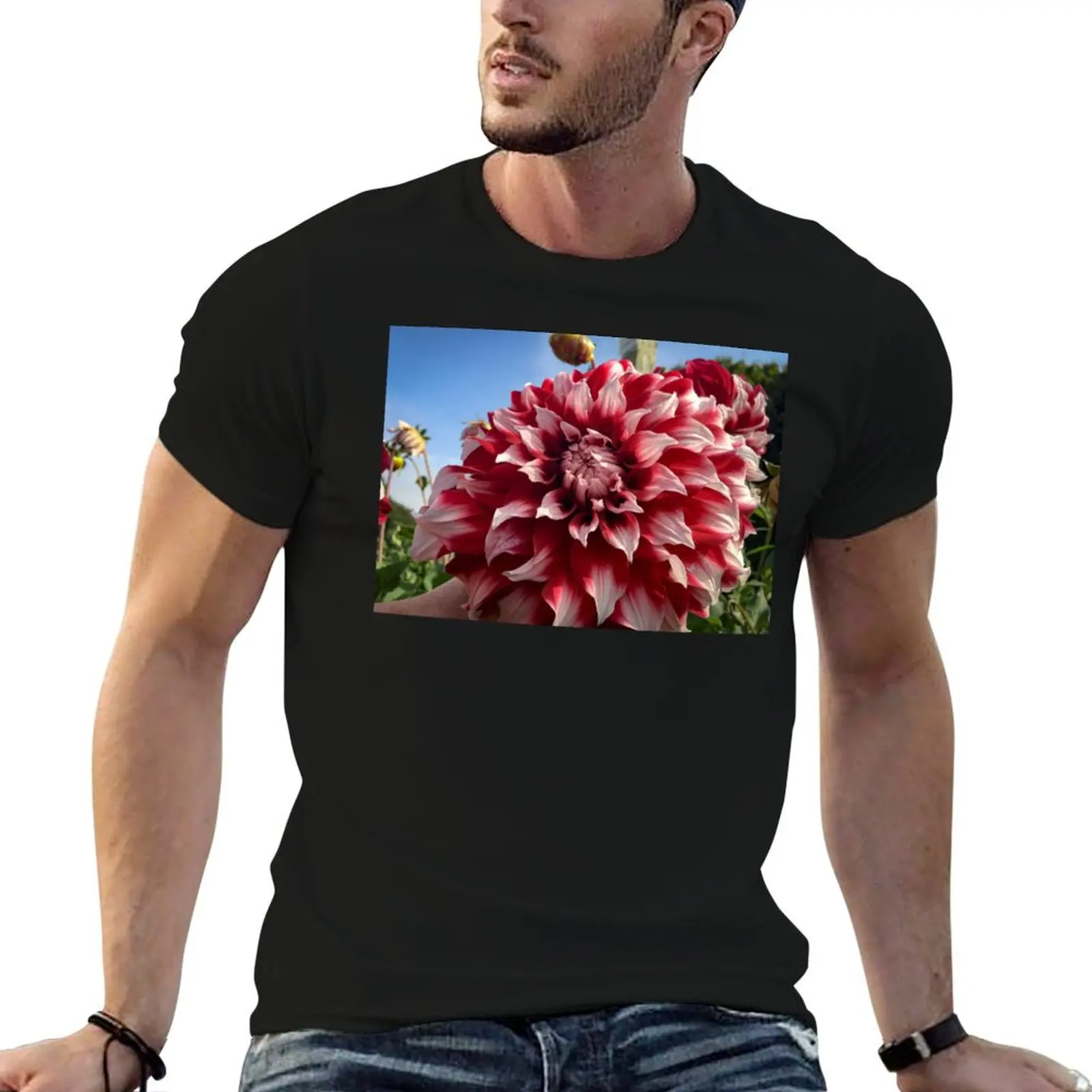 Red and White Decorative Dahlia Flower Bloom. Checkers, David Howard variety 044 T-Shirt Casual Graphic Print Tee