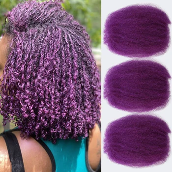 Cheveux humains afro crépus en vrac pour tressage, cheveux péruviens élégants, dreadlock, sel belle, gris remy, nouveau document violet