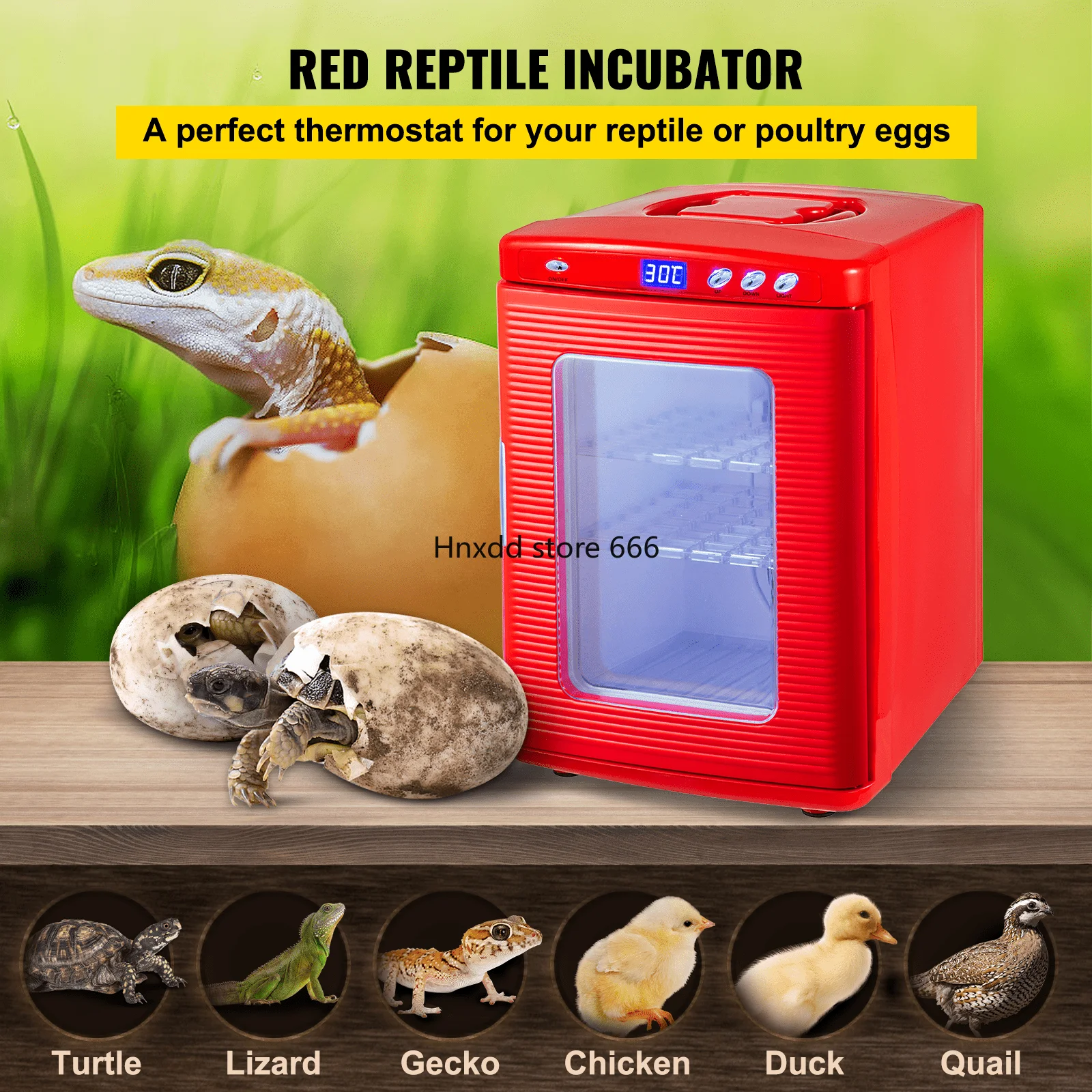 Reptile Incubator 25L Digital Egg Incubator 2-60°C For Small Reptiles