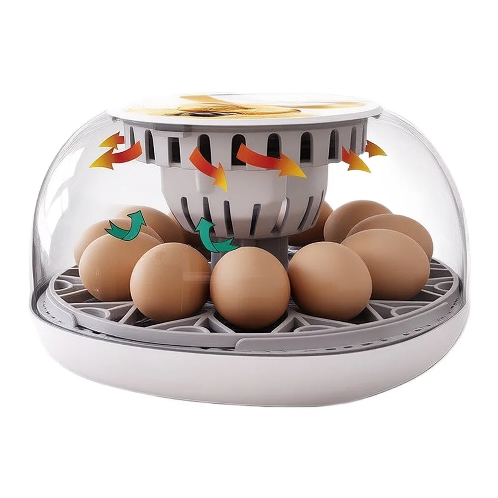 12-Egg Automatic Incubator with Turbo Fan Distributed Airflow and External Water Refill for Consistent Incubation Results