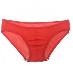 New Mens Unisex Sexy Low Rise Breath High Elastic Transparent Mesh Underwear Thong Panties Temptation Soft Male Briefs Shorts