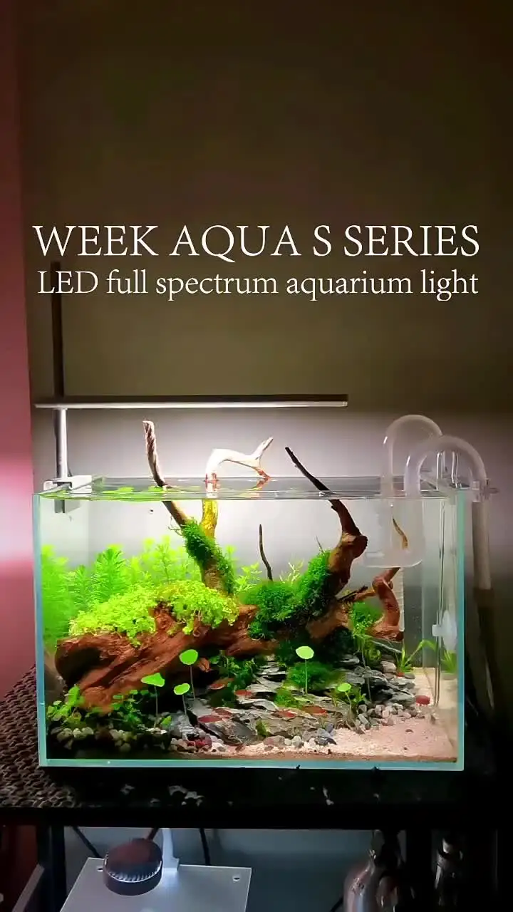WEEK AQUA S300Pro 30W RGB+UVフルスペクトル水槽ライト