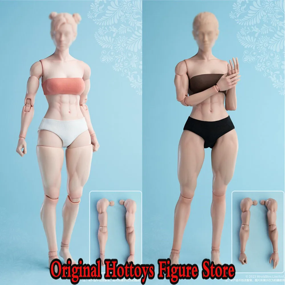 

Worldbox AT206 1/6 Scale Feminine Soldier Super Flexible Joint Body Muscle Version 12-inch Articulated Action Figure Model