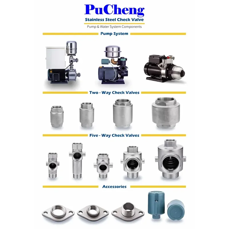 Backflow Preventer 2