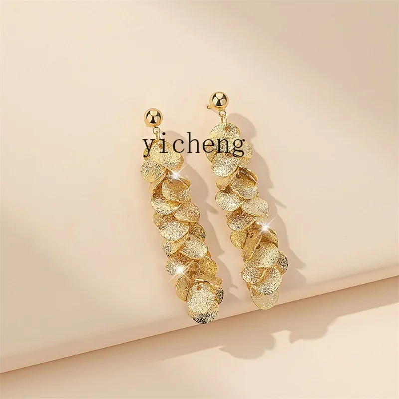 

XL Metal Temperament Niche Tassel Unique Earrings High Sense Tremella Women's Earrings Pendant Earrings