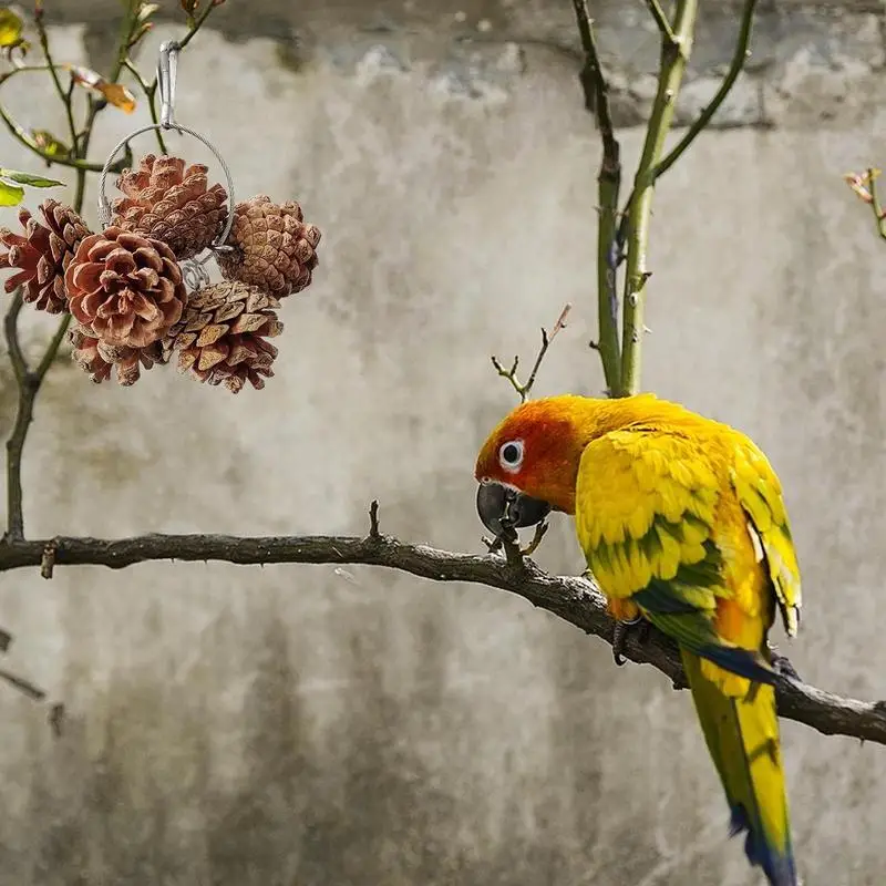 Bird Toys For Parrots Foraging Pinecone Natural Nuts Foraging Toy Bird Cage Accessories Bird Toys For Cage For Small And