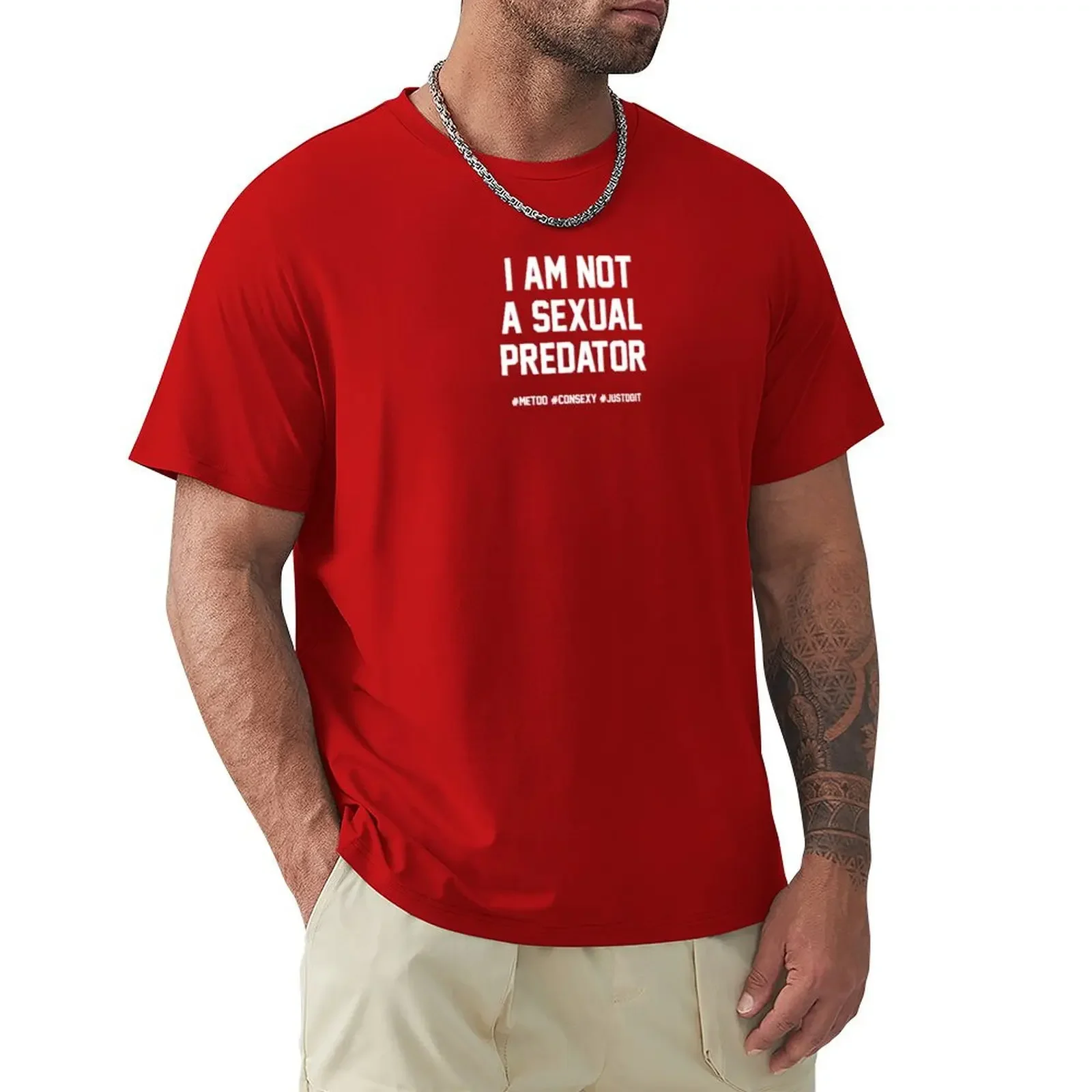 I Am Not A Sexual Predator T-shirt aesthetic clothes blanks t shirts for men graphic