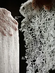 Creative Hollow Perspective 3D Lace Fabric Texture Super Soft White Skirt Designer Fabrics Diy Sewing