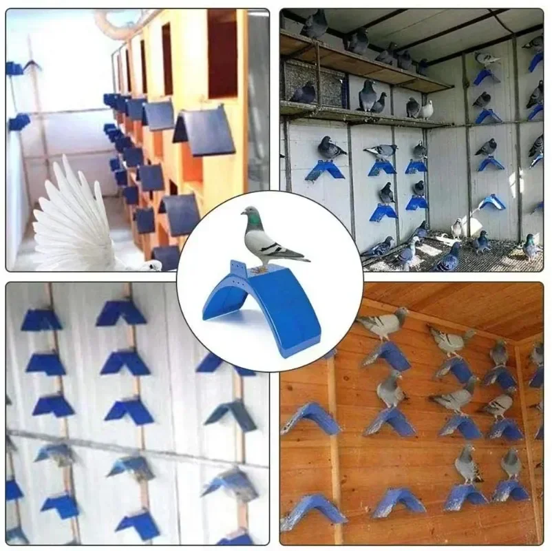 Gelo e resistente ao calor e longa vida útil V Pombon Bird Pet Roost Bird Equipment Racing Pombon Stand Rest Stand