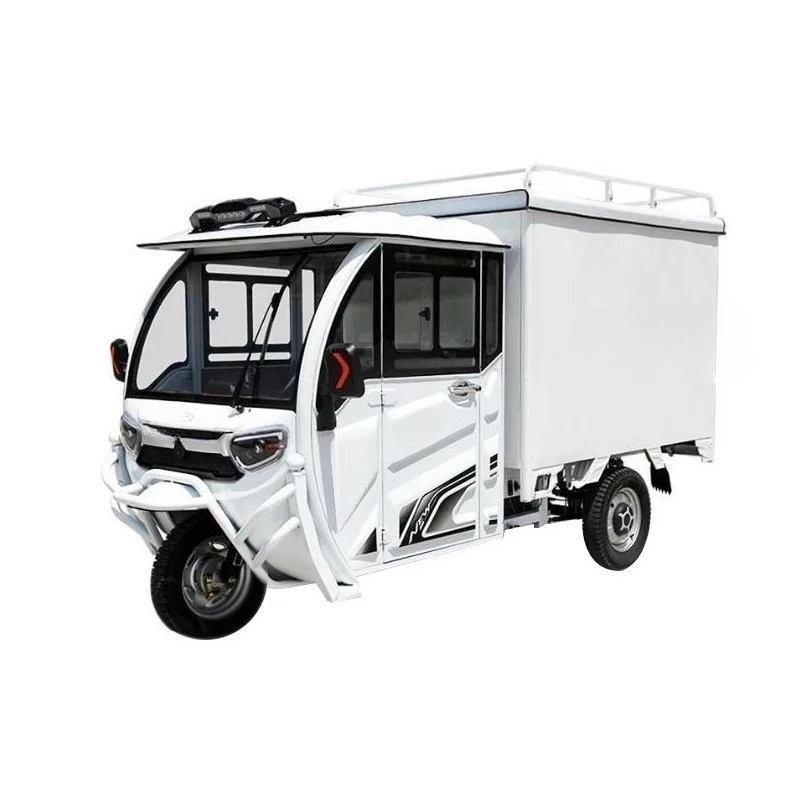 

1000W Integrated Differential Motor Electric Delivery Van 3 Wheels Cabin Cargo Tricycle Full Closed Cab 48v Electric Tricycles