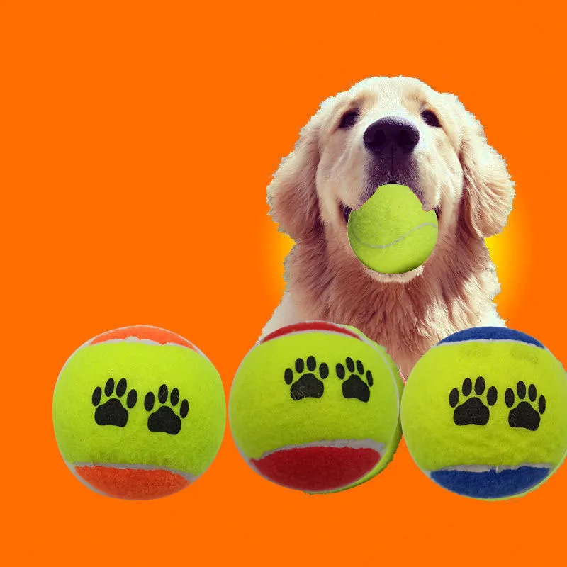 Animal Training and Behavioral Aid Elastic Ball, Teeth-resistant Interactive Toy, 10Pcs