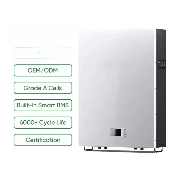 48V 100Ah LiFePO4 Wall-Mounted Battery – 5.12kWh Solar Energy Storage, Built-in BMS for Home Backup