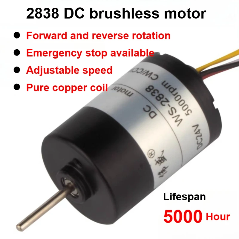 12V Brushless DC Motor 24V Micro Adjustable Speed High-Torque Motor Power Tool Accessories 2838 Forward and Reverse Rotation
