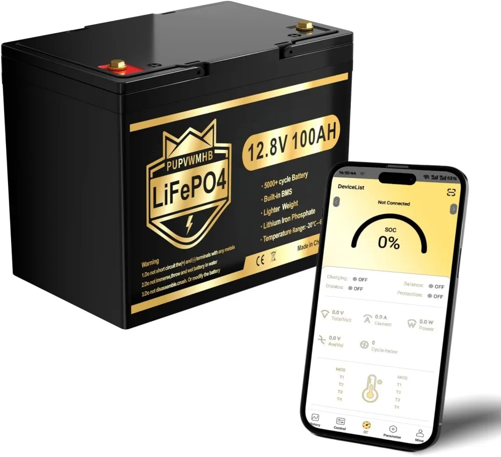 12V 100Ah Mini Life…