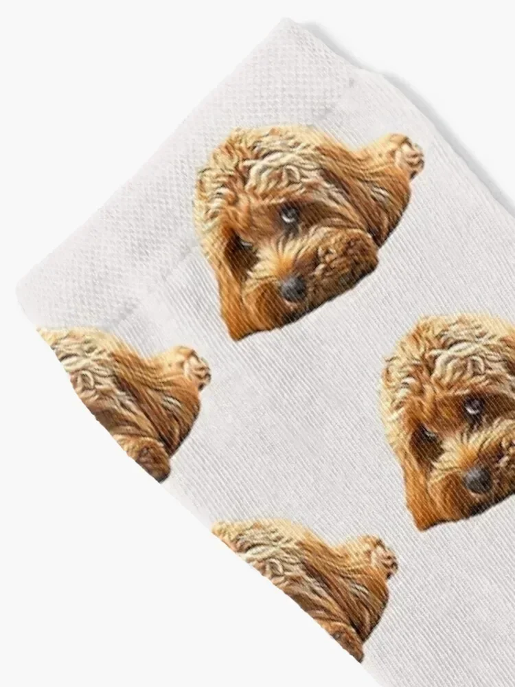 Cavapoo Cavoodle Cockerpoo Puppy Designer Dog Poodle Mix Socks kids sports stockings custom sports Mens Socks Women's