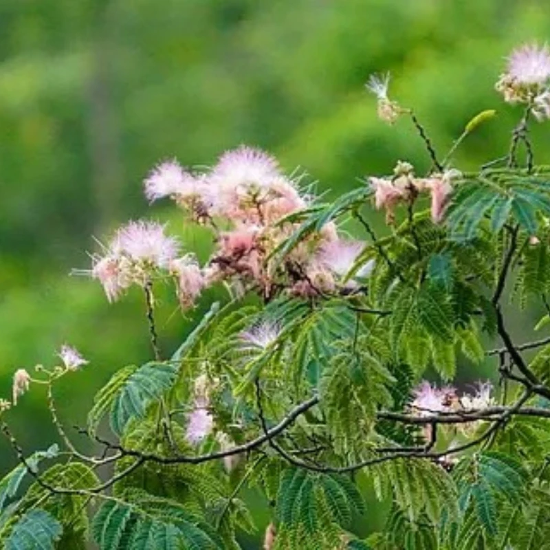 

Мотор T-HOBBYT-TM VELOX V2812 KV925 KV115 для FPV-дронов, подходящий для FPV-дронов 4-8 дюймов и FPV-фристайл рам.