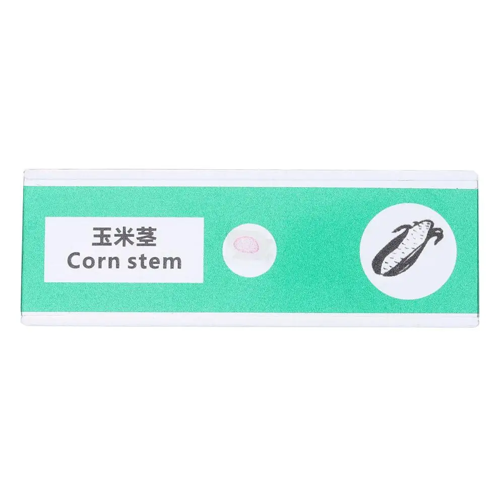 Plastic Microscope Slides Animals Insects Plants Flowers Sample Specimens Microscope Sample Prepared Slides Multicolor Kids