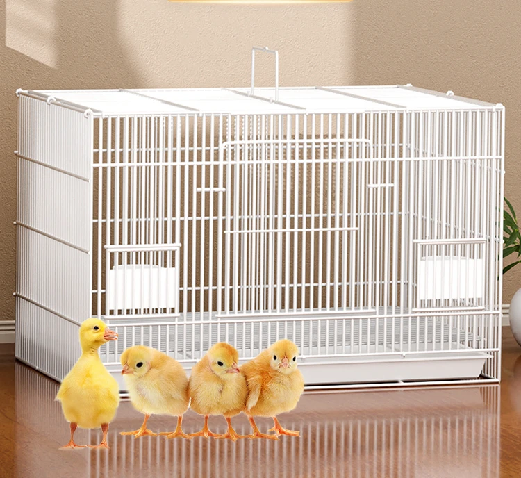 Small chicken cage, duck cage, household rutin chicken, pet duck special breeding box for indoor and outdoor use