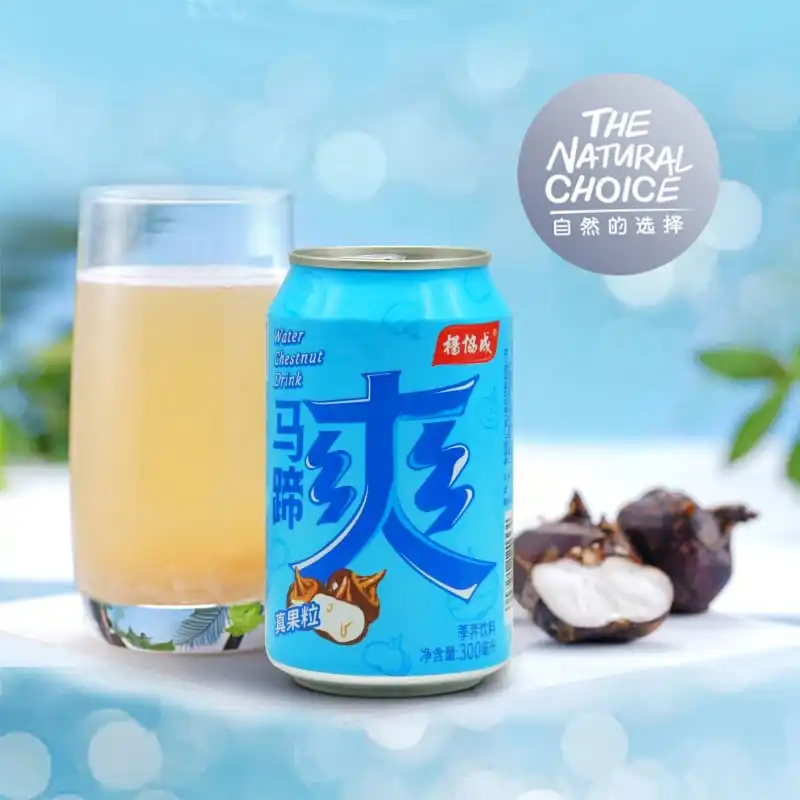 Yeo's Water Chestnut Drink with Crunchy Bits - 300ml, Pack of 24