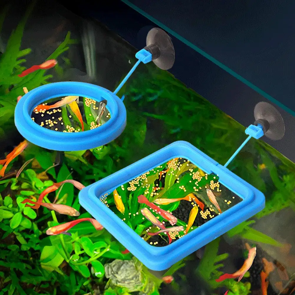 Aquarium Fish Feeding Ring Fish Tank Blue Floating Station Food Tray Feeder Prevent Food Dispersion Aquarium Feeding Ring