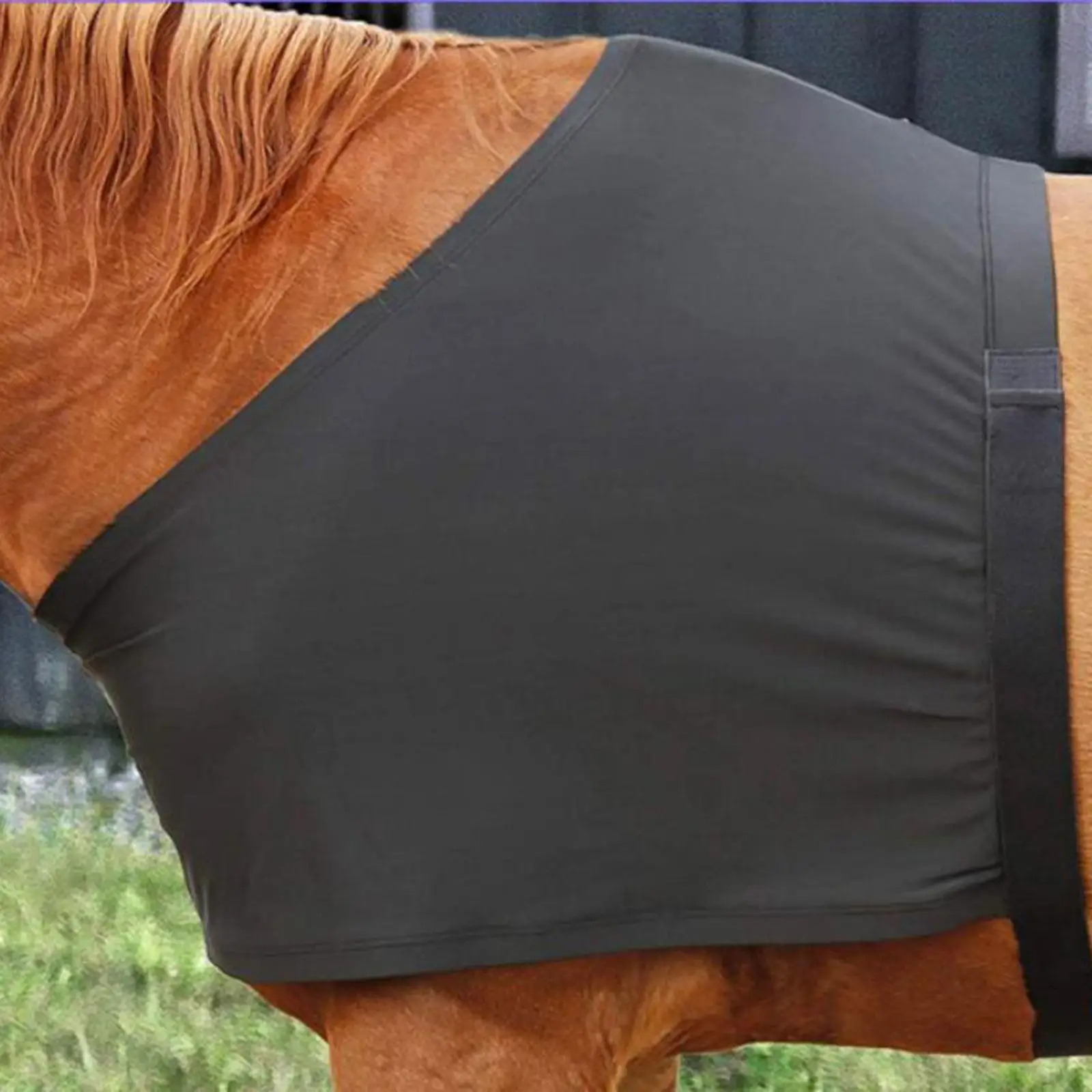 

Horse Shoulder Guard, Protector Premium Breathable Chest Saver Fitting, Portable, Practical Reusable Horse Vest Anti Rub Bib