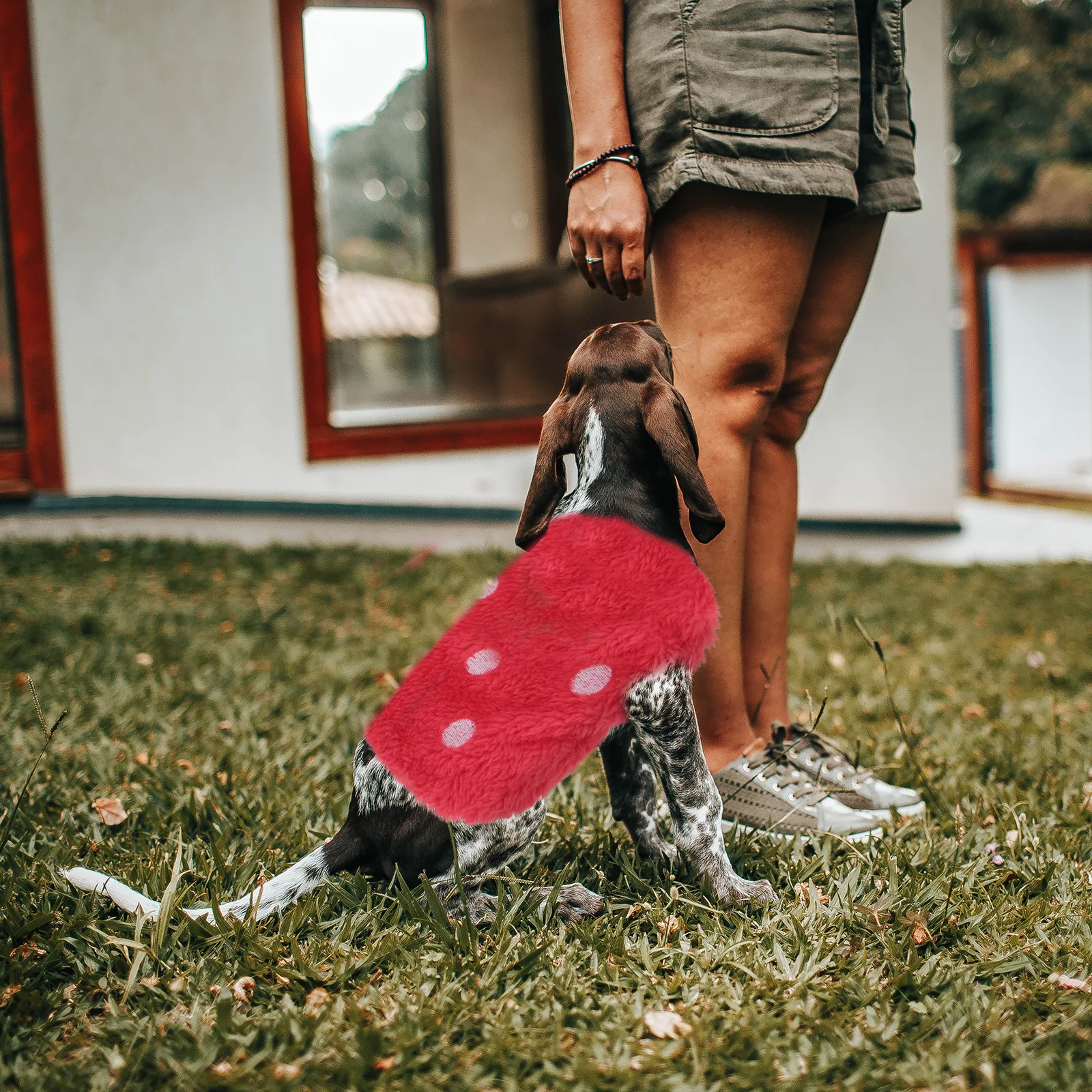 

High Quality Coral Fleece Pet Vest for Small Animals Bunny Guinea Pig Rabbit Squirrel Raccoon Hoodie Outfit Wear