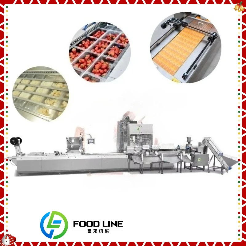 

Customized Full Automatic Meat Vacuum Skin Packaging Machine, Thermoforming Continuous Food Vacuum Packaging Sealer