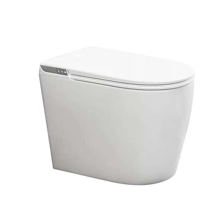Intelligent Multi-Function Smart Toilet 58 cm Long with Small Size Remote Control & S-Trap Drainage Pattern Included