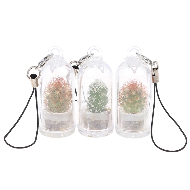 Succulent Plant Pendant Mini Succulent Cactus Plant Keychain Random Plant Pendant Keyring Charm With Glass Cover Craft Gifts