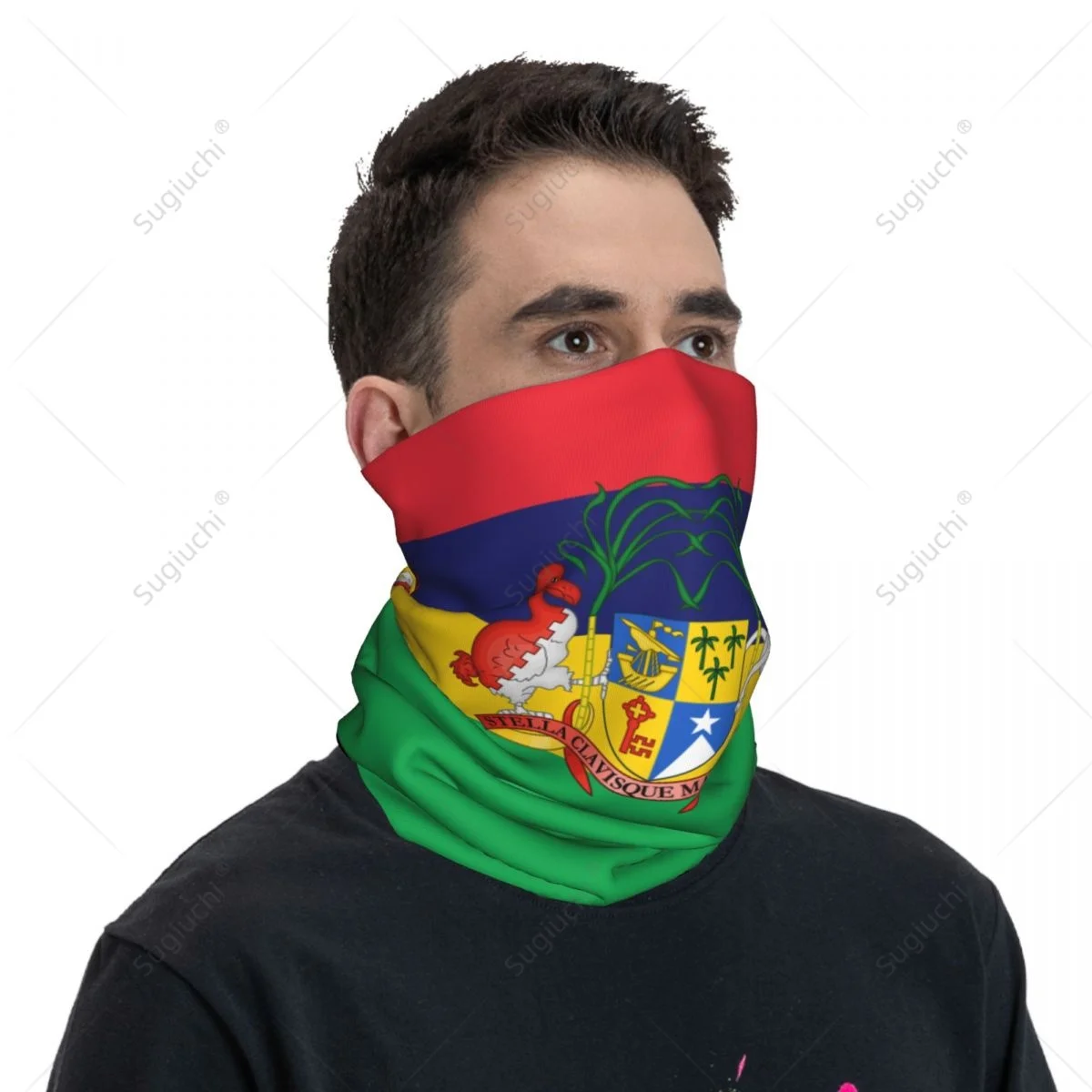 Unisex Mauritius Flag Neckerchief Scarf Neck Face Mask Scarves Neck Warmer Seamless Bandana Headwear Cycling Hiking - view 2