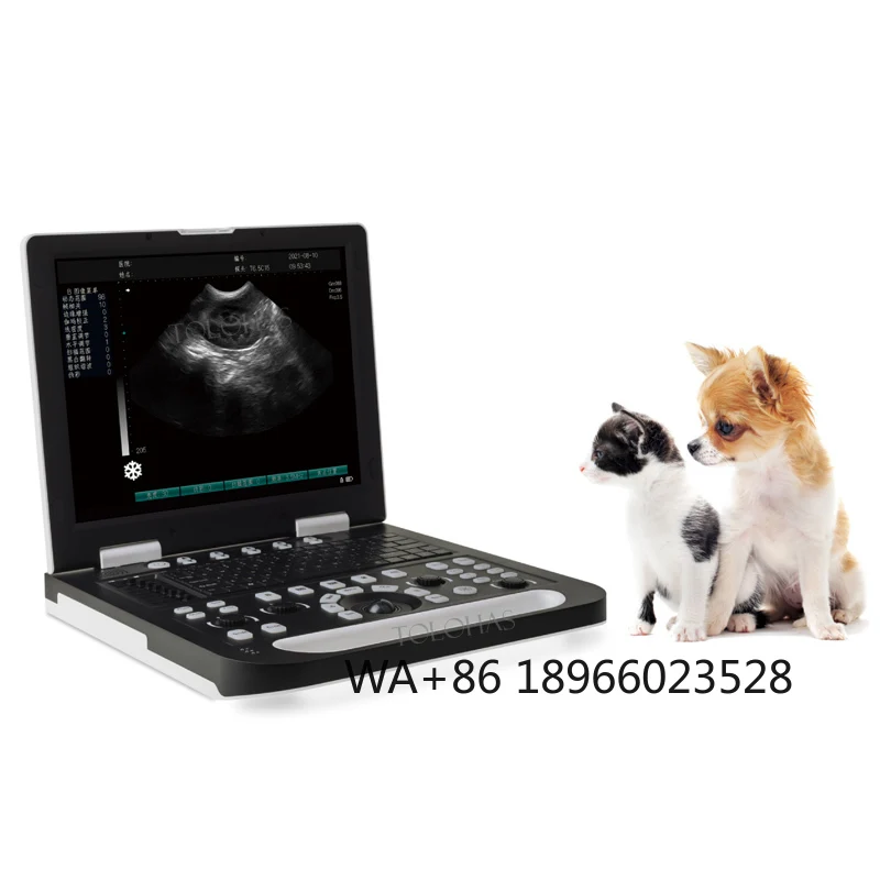 

LHWN50 Vet Ultrasound Scanner Equipment Portable Veterinary Ultrasound Machine USG For Cow