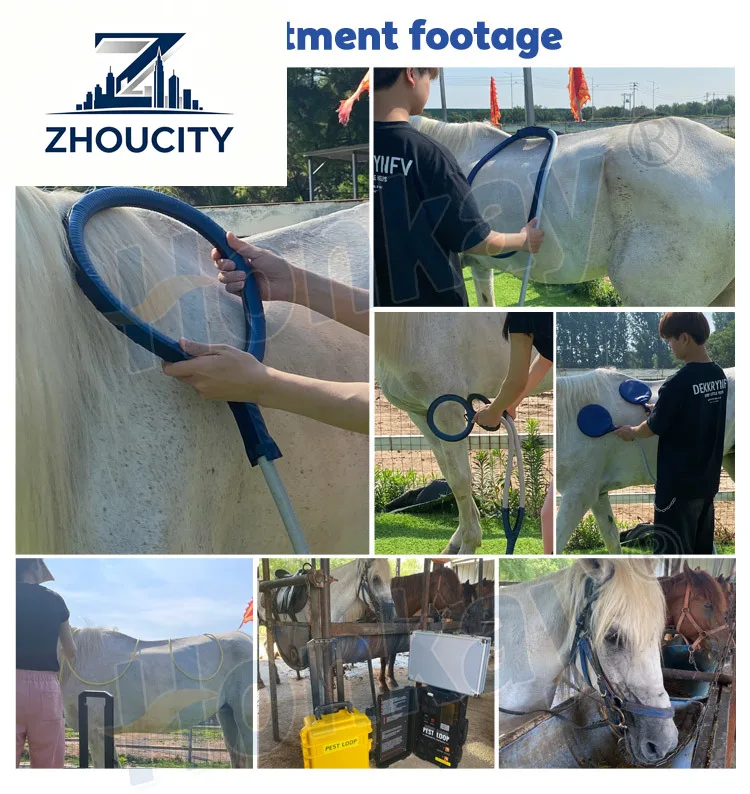 Easy Operate  Horse Physio  Magnetic Therapy Device for Horses and Humans Effective  Therapy Machine