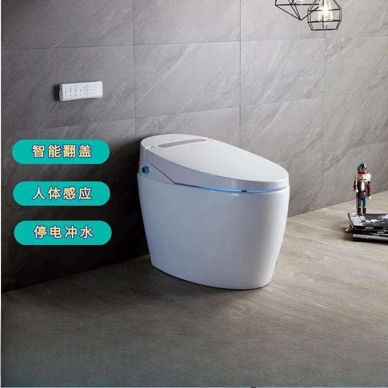 F25B standard version, smart toilet with water tank, no water pressure requirement, integrated smart toilet
