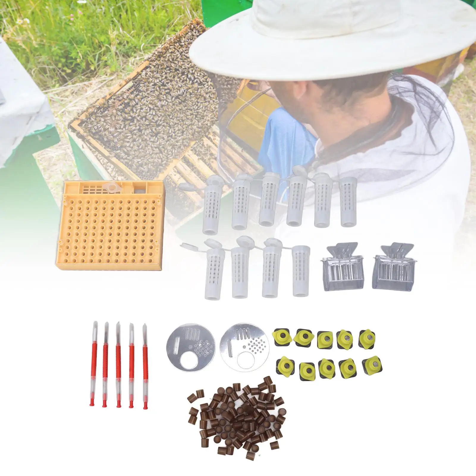 Queen Bee Rearing Box Durable Plastic Kit for beekeeping Hive Management and Breeding Equipment