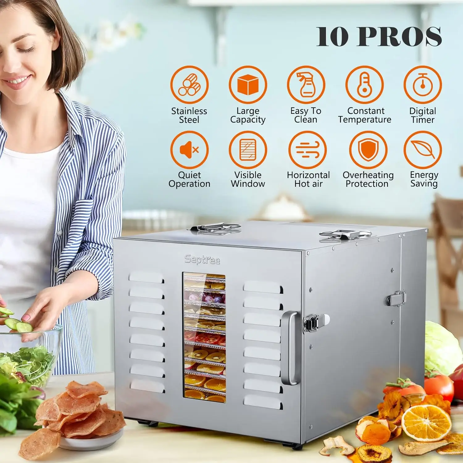 10 Trays Food Dehydrator, Usable Area up to 17ft², 1000W Detachable Full Stainless Steel Dryer Machine