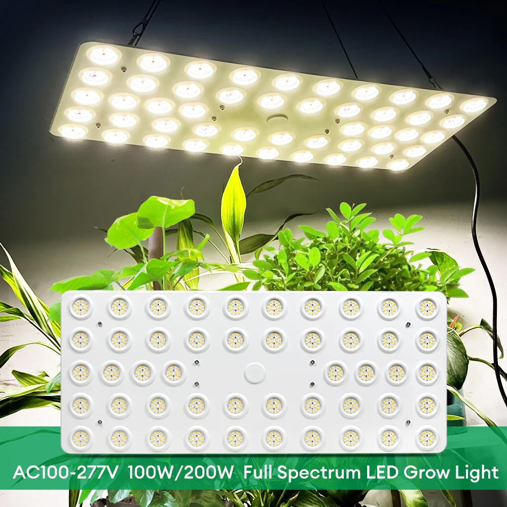 100 واط 200 واط الكم تنمو أضواء LED النمو مصباح الطيف الكامل Phytolamp للداخلية الخضار زهرة الدفيئة النباتات العصارية #6