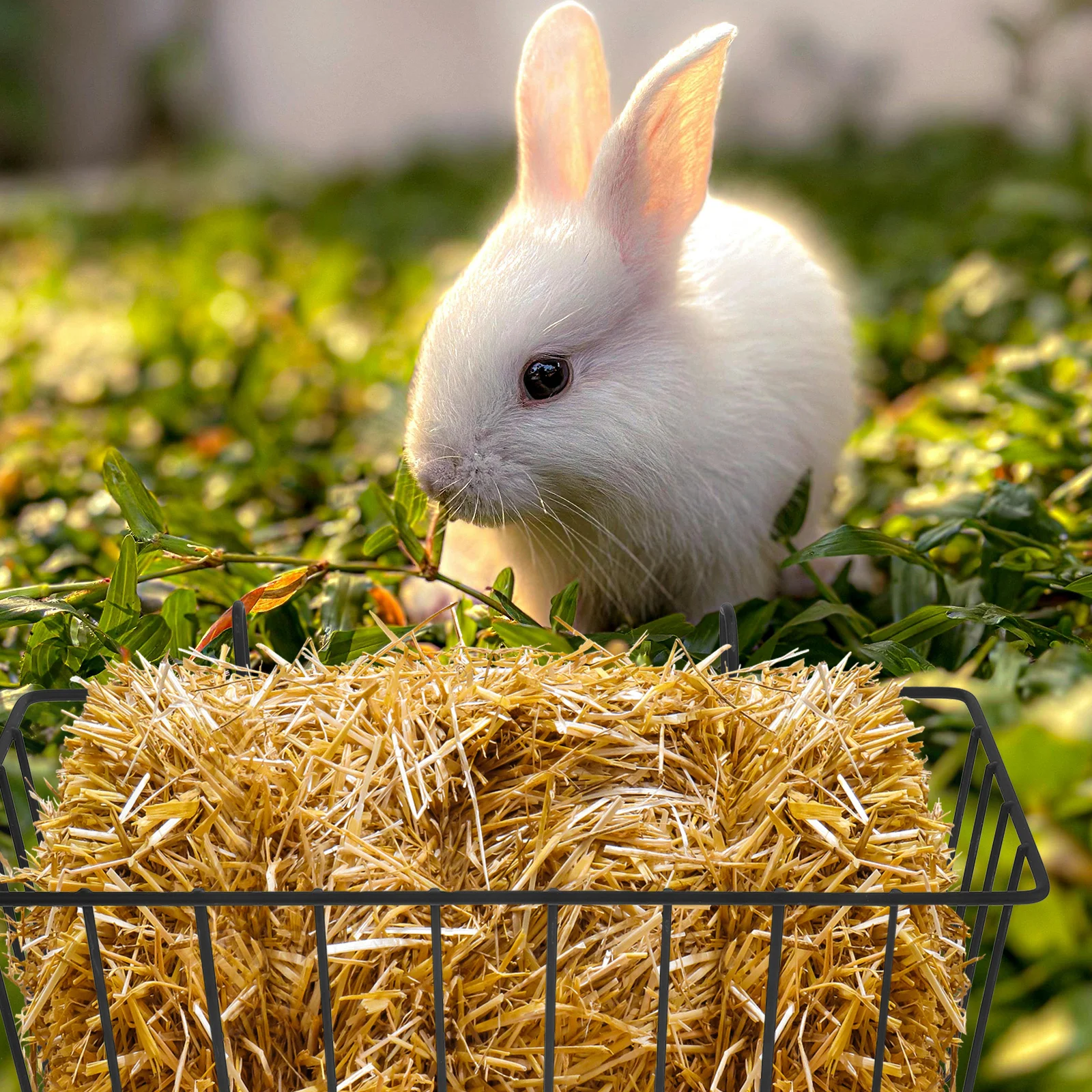 

2pcs Rabbit Hay Feeder Multi-Function Hanging Rack For Rabbit Guinea Pig Hamster Cage Supplies Large Capacity Bite-Resistant Pet