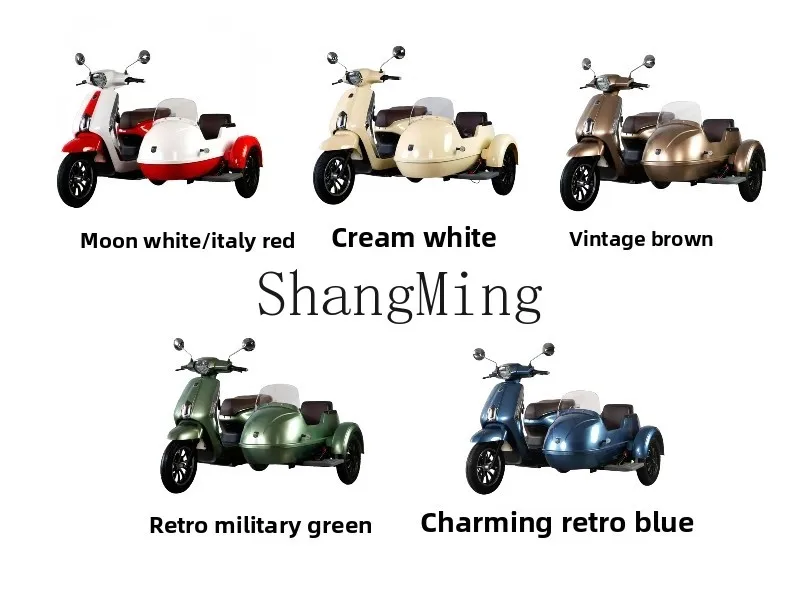 ZYH72v دراجة ثلاثية العجلات الكهربائية 100a بطارية ليثيوم سيارة سياحية لمشاهدة معالم المدينة عمر البطارية الطويل #4