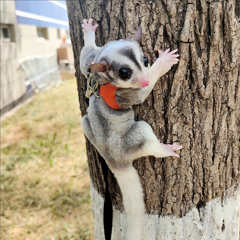 Small Pets Chest Strap Hamster Squirrel Leash Anti Bite Traction Rope Sugar Glider Windproof Special Anti Lost Rope