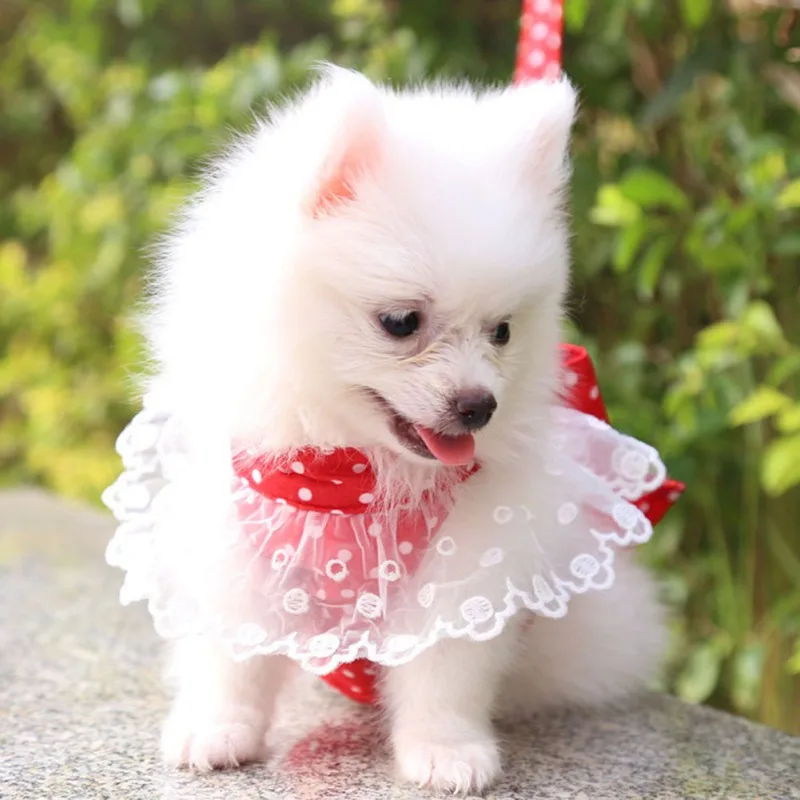 Dog Harness Beautiful Lace Cat Leash Bow Knot Chest Strap Dog Collar Pet Supplies Accessories Dog Leash Red Bow Pet Supplies