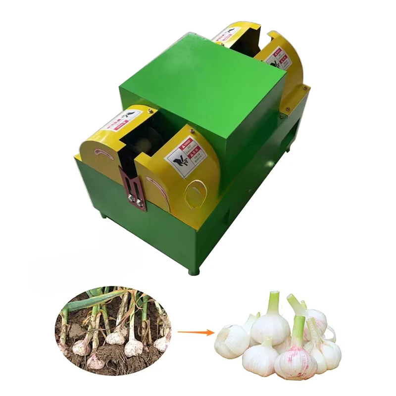 FOR Hot Sale Garlic Tail and Stem Cutting Machine Garlic Processing Machine Garlic Root Cutting Machine