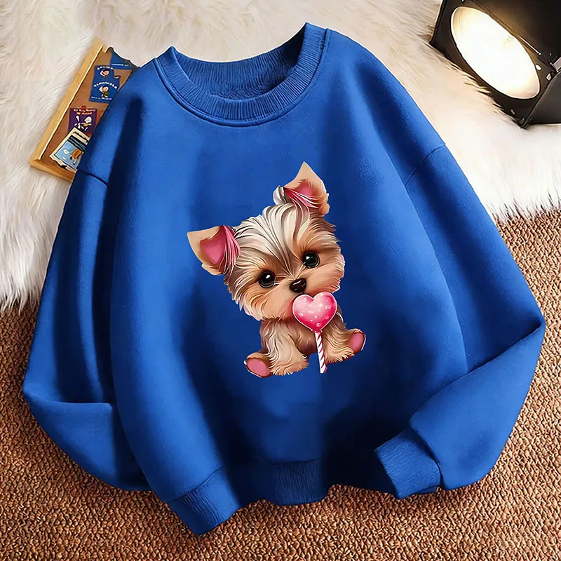 Lustiger Kinder-Sweatshirt-Pullover Frühling Kawaii Niedliche Katzen-Grafik Rundhals-Kapuzenpullover mit Grafikdruck für Jungen/Mädchen