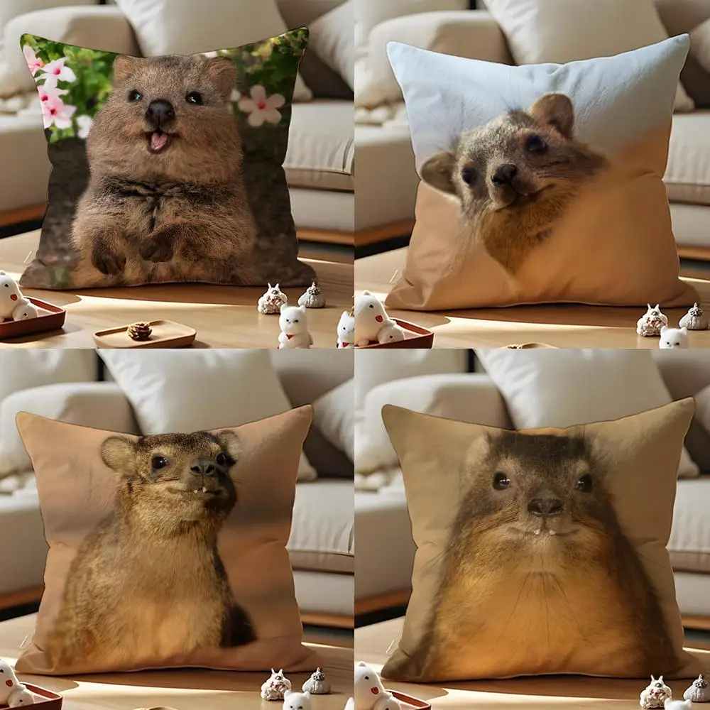 Anime Cute Rock Hyrax Tier Kissenbezug Anti-Dustmite Kissenbezug Unsichtbarer Reißverschluss Seidiger kurzer Plüsch Sofakissenbezug