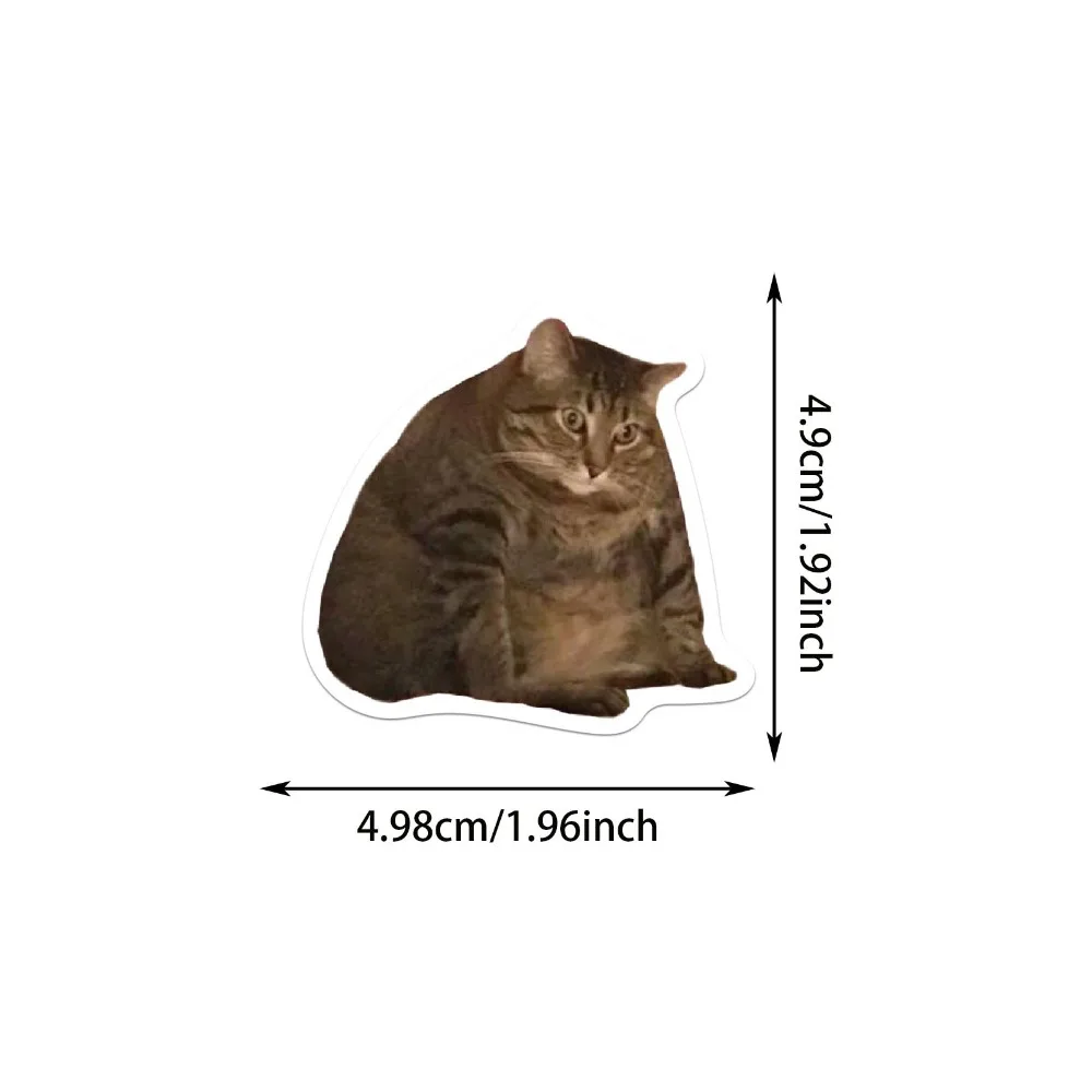 50 pezzi carino MEME Network adesivi per gatti popolari animali cartoni animati adesivi per gatti divertenti vari adesivi per graffiti fai da te custodia per telefono